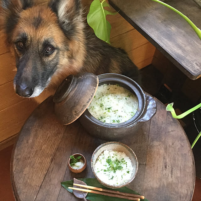uooさんの実例写真