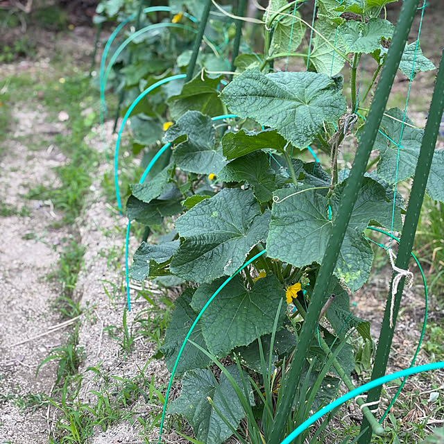 ayomoyuさんの部屋