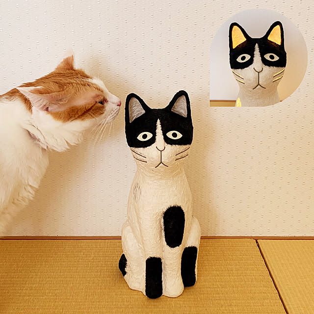 bikkeさんの実例写真