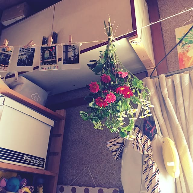 parrotさんの実例写真