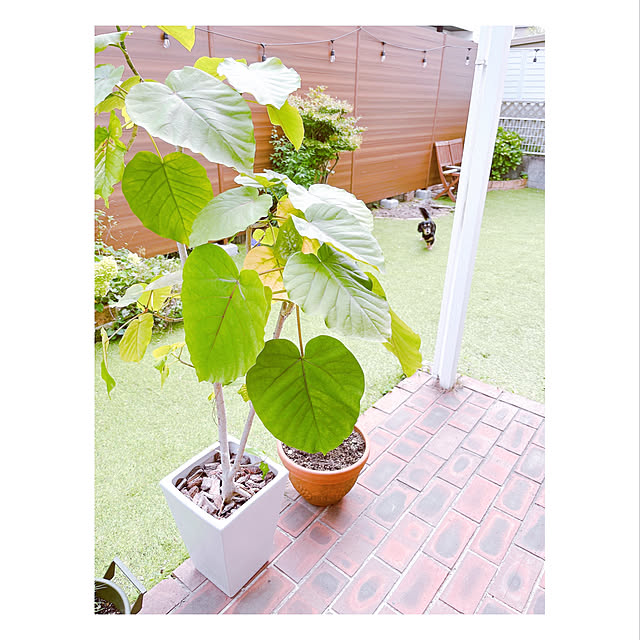 yukoさんの実例写真