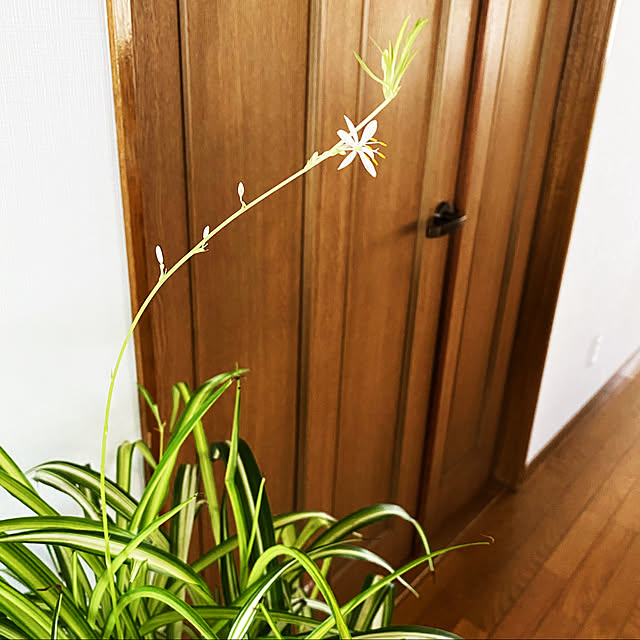 kanaさんの部屋