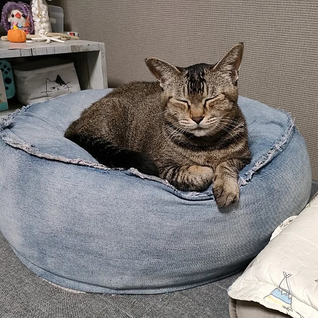 cocomintさんの実例写真