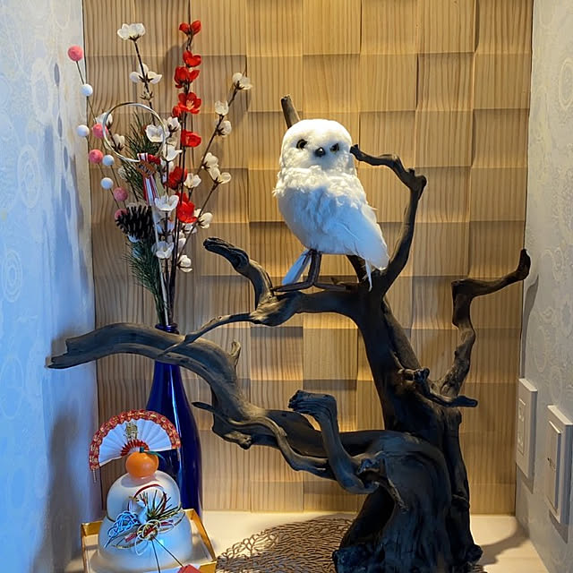 shinさんの実例写真