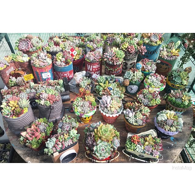 bon-bon-hippieさんの実例写真