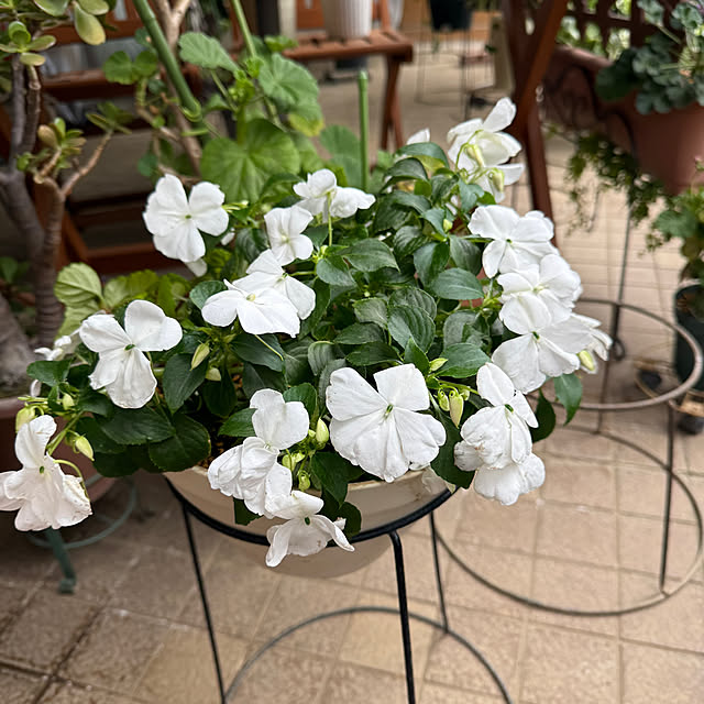 Aqettyさんの部屋