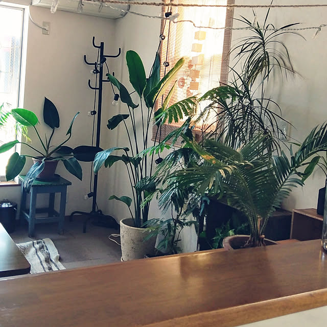 oliveandcheeseさんの実例写真