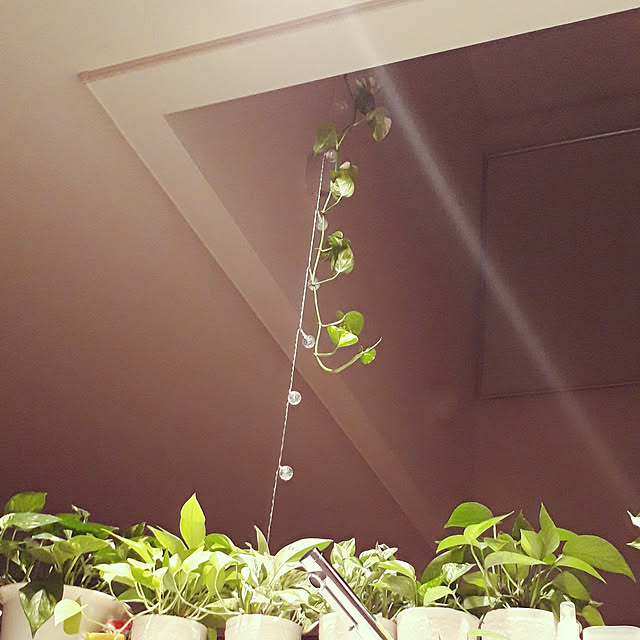 strawberry364さんの実例写真