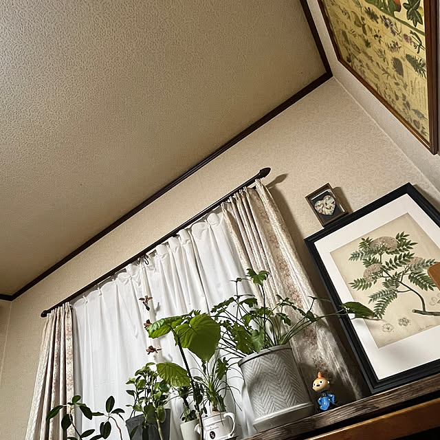 cotaさんの実例写真