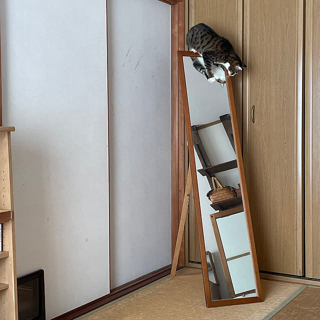 nobikoさんの部屋