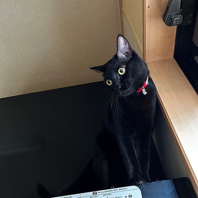 prelumoさんの部屋
