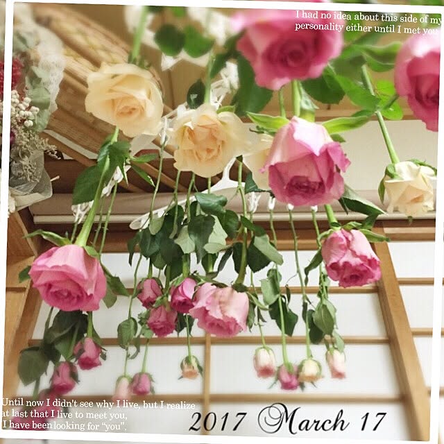mockさんの実例写真