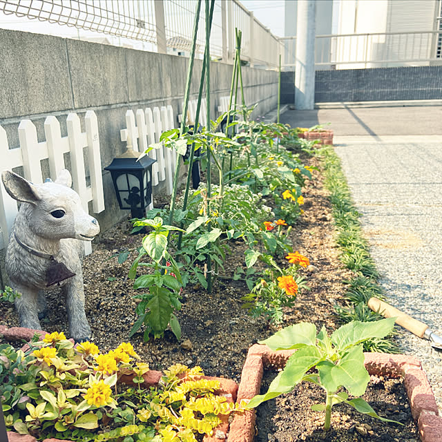 fumofumoさんの実例写真