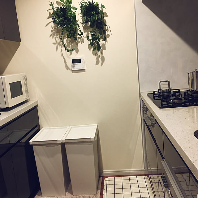 キッチン/IKEA/無印良品/観葉植物のインテリア実例 - 2017-10-03 19:58:37