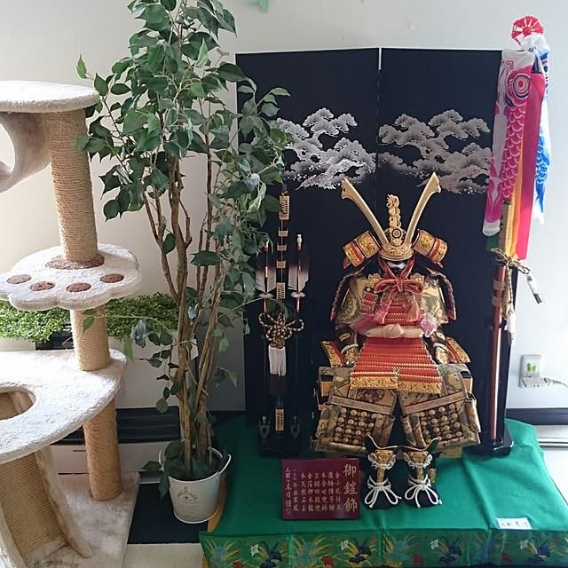 yumioushinさんの実例写真