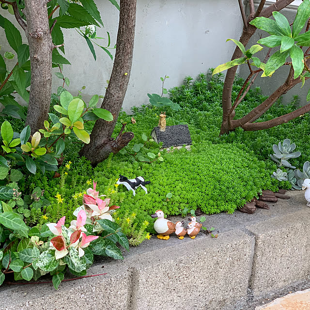 kekokekoさんの実例写真