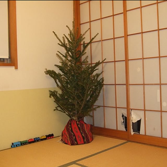nekotamakoさんの実例写真