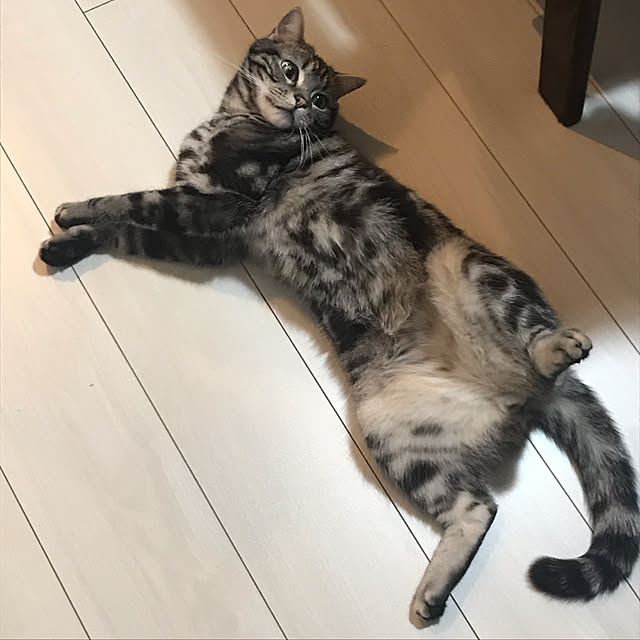 KotarouKunさんの実例写真