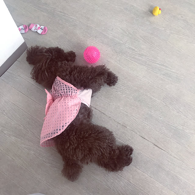 noelさんの実例写真
