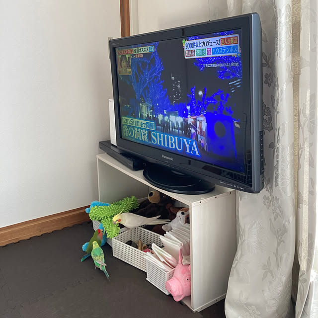 toratanさんの実例写真