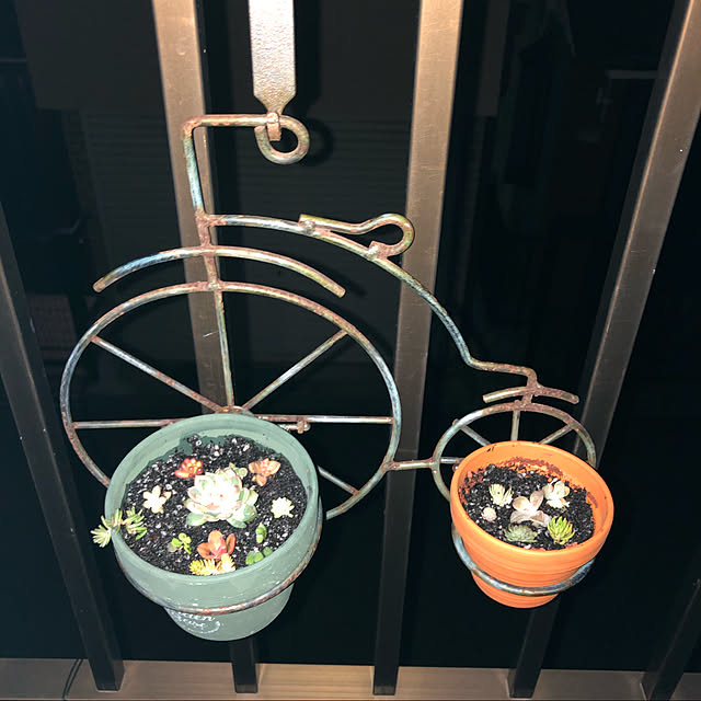 baron2017さんの実例写真