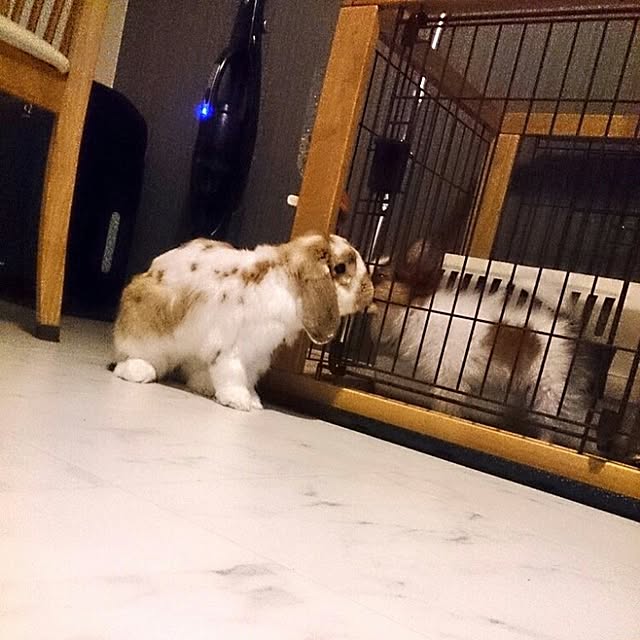 simaさんの実例写真