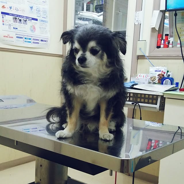 satominさんの実例写真