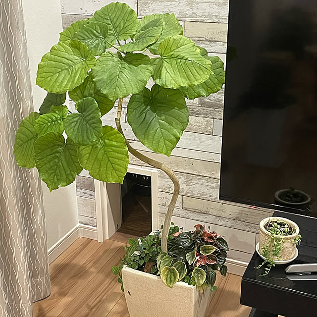 Kaorinさんの実例写真