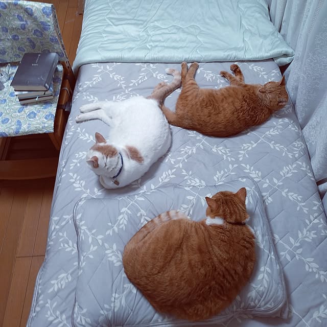 NOAHさんの部屋