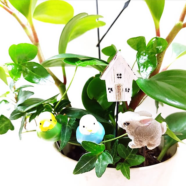 katさんの実例写真