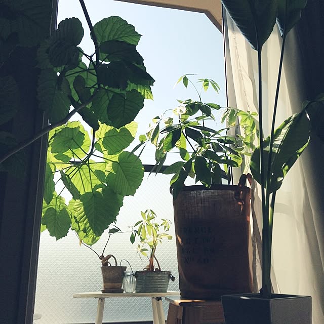 studio-fleurさんの実例写真