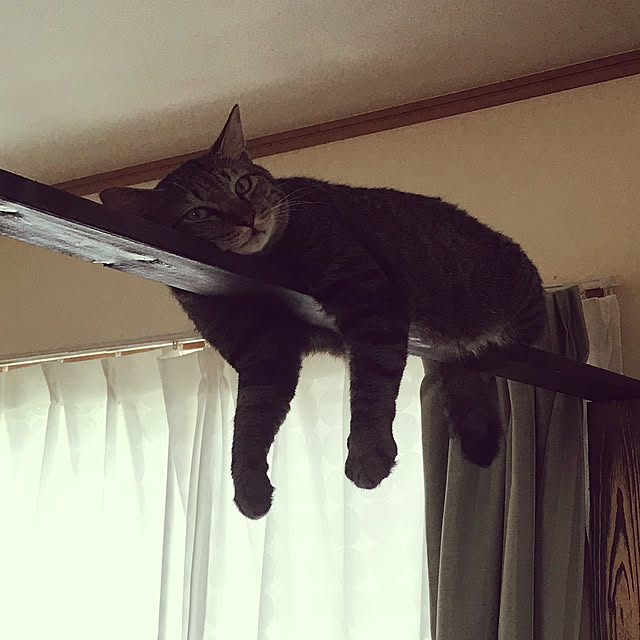 mikan161さんの実例写真