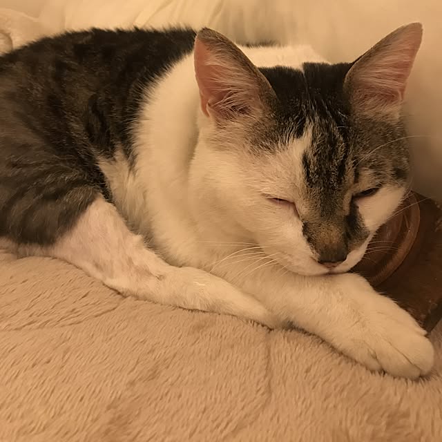 mariaさんの実例写真