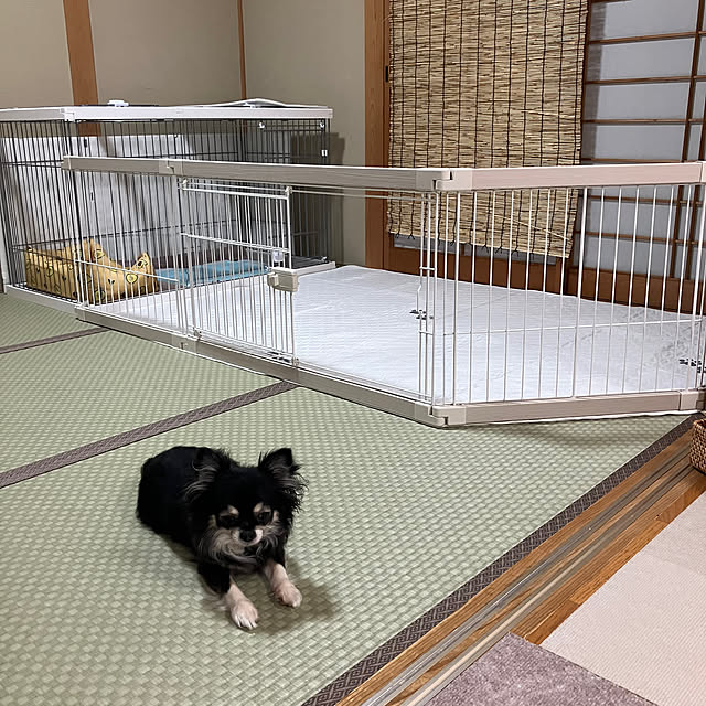 koroさんの部屋