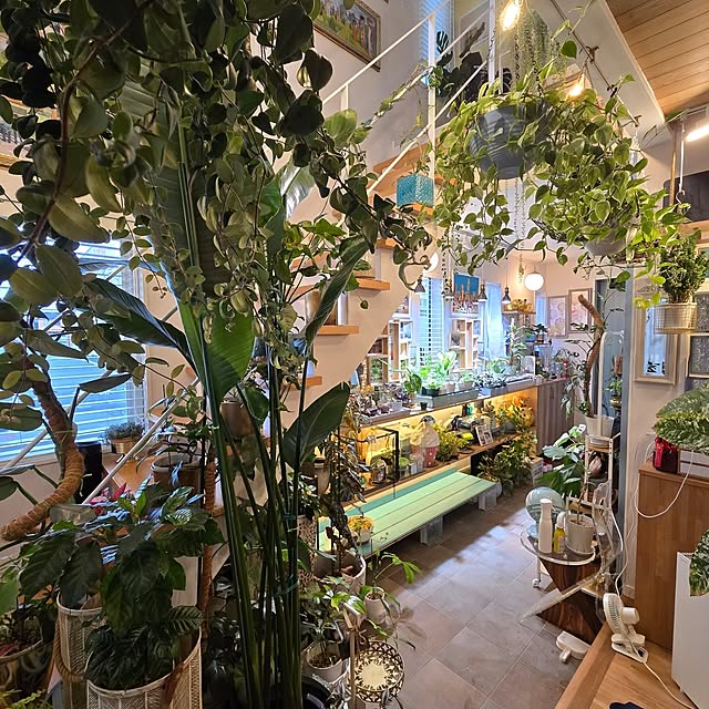 nonbiri_house_さんの部屋