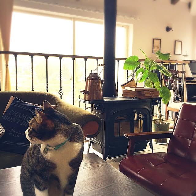 shio2772さんの実例写真