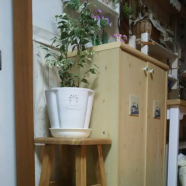 naopyiさんの実例写真