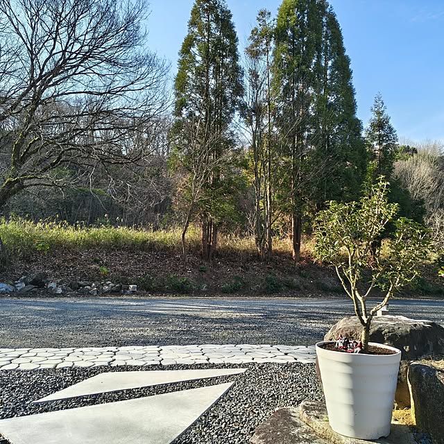 Rubiconさんの部屋