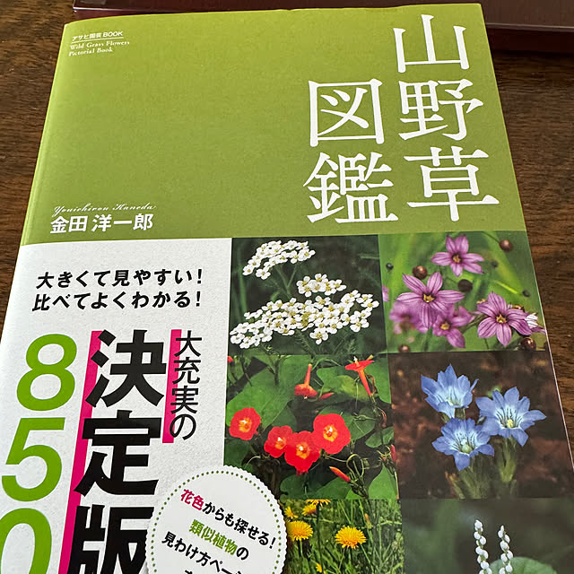 mamizaさんの部屋