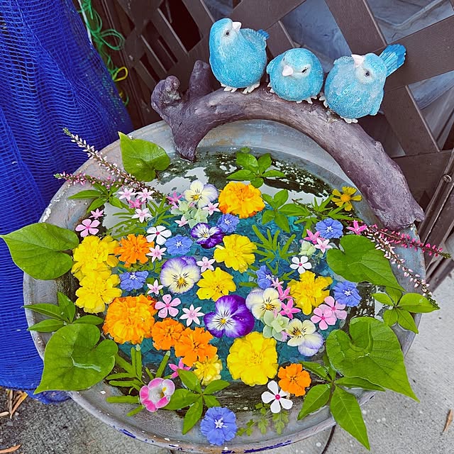 mocomocoさんの実例写真