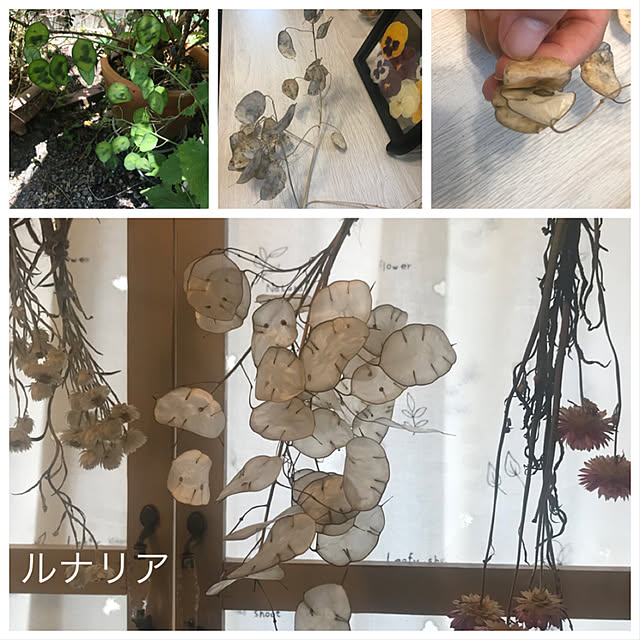 asako.10さんの実例写真