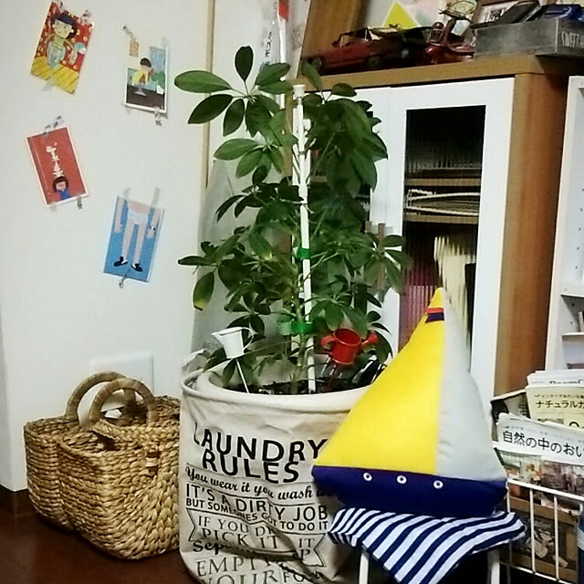 abiさんの実例写真