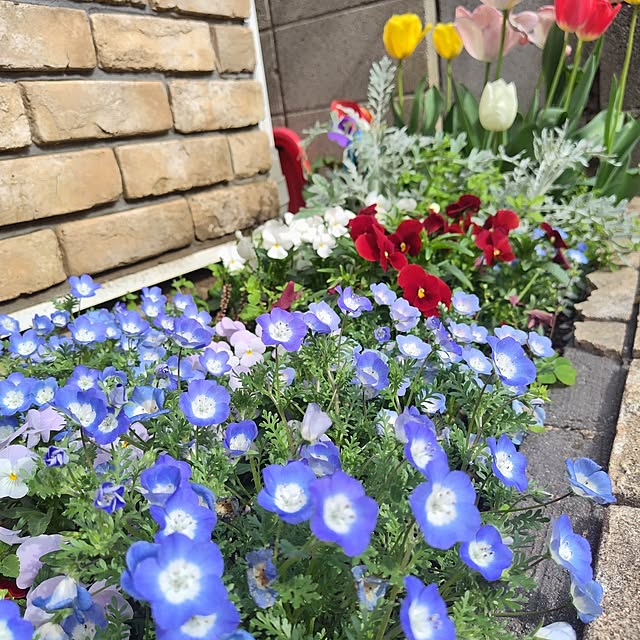 Hitomiさんの部屋