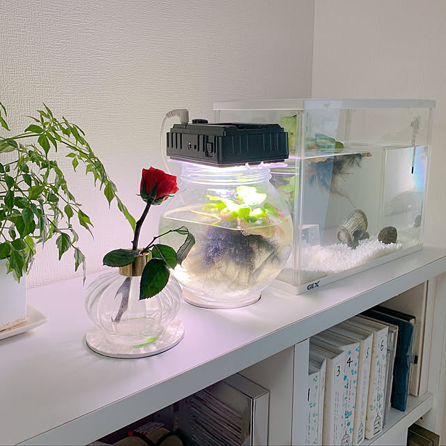 pancoさんの実例写真