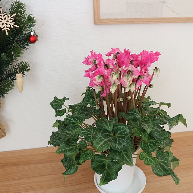 aya_blueさんの部屋