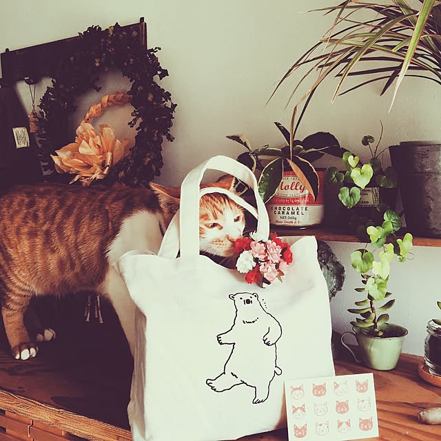 yuyushoさんの実例写真