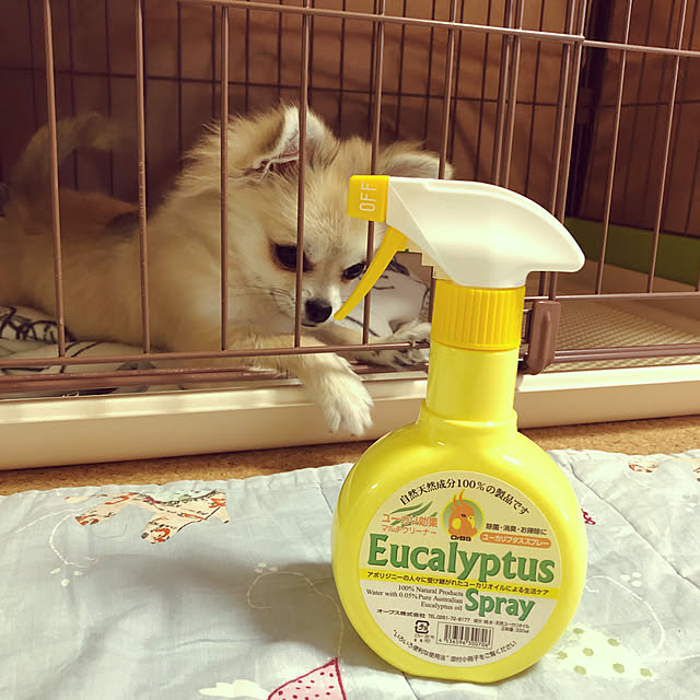 umiさんの実例写真