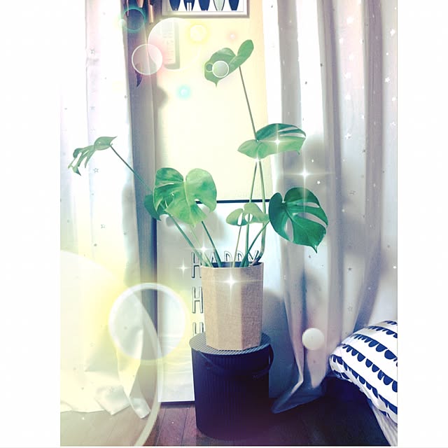 ayuranranさんの実例写真