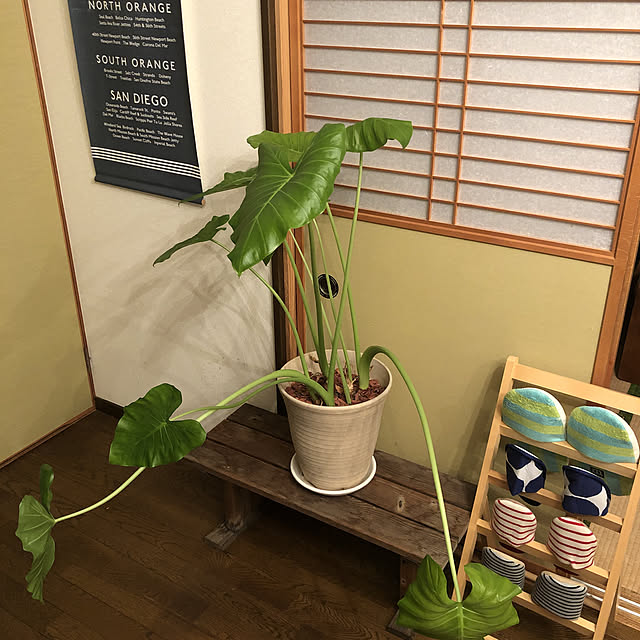 実例写真