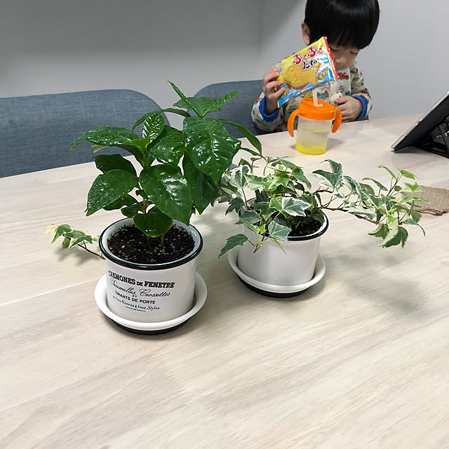 reirei3413さんの実例写真